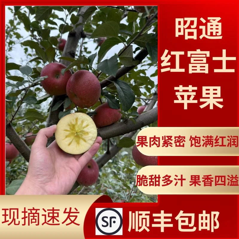 云南昭通多汁黄金糖心苹果产地直发丑苹果5斤包邮礼盒包装
