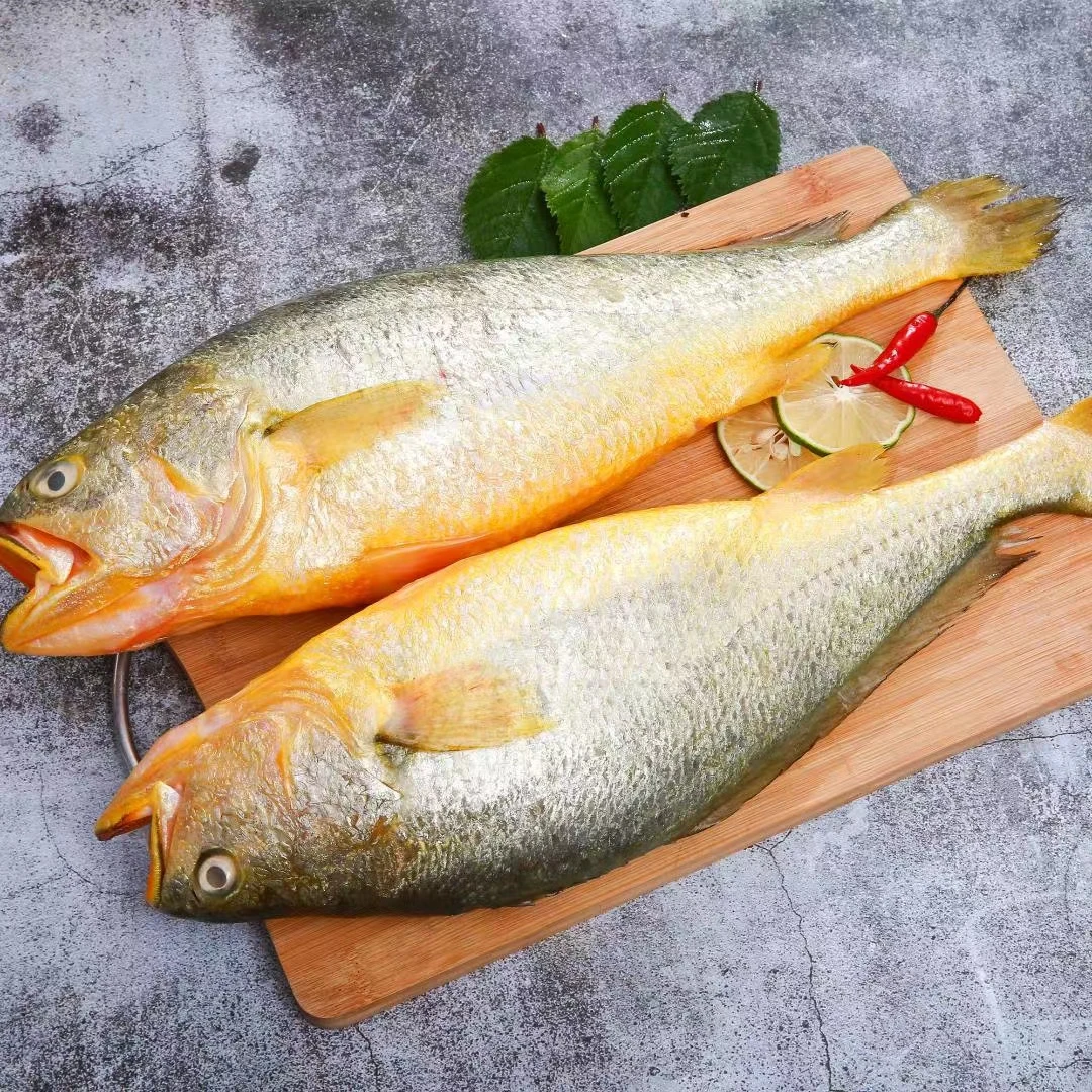 冰鲜 黄花鱼 4.8 斤 3条