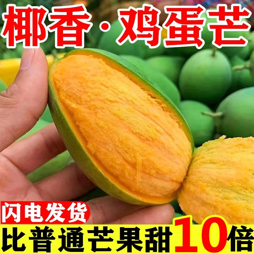 【自家果园】正宗现摘椰香芒果新鲜鸡蛋芒纯甜青皮熟水果5斤/9斤