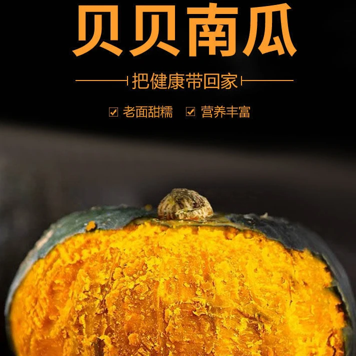 [坏果包赔]贝贝南瓜粉糯香甜宝宝辅食新鲜板栗南瓜香甜大果肉厚