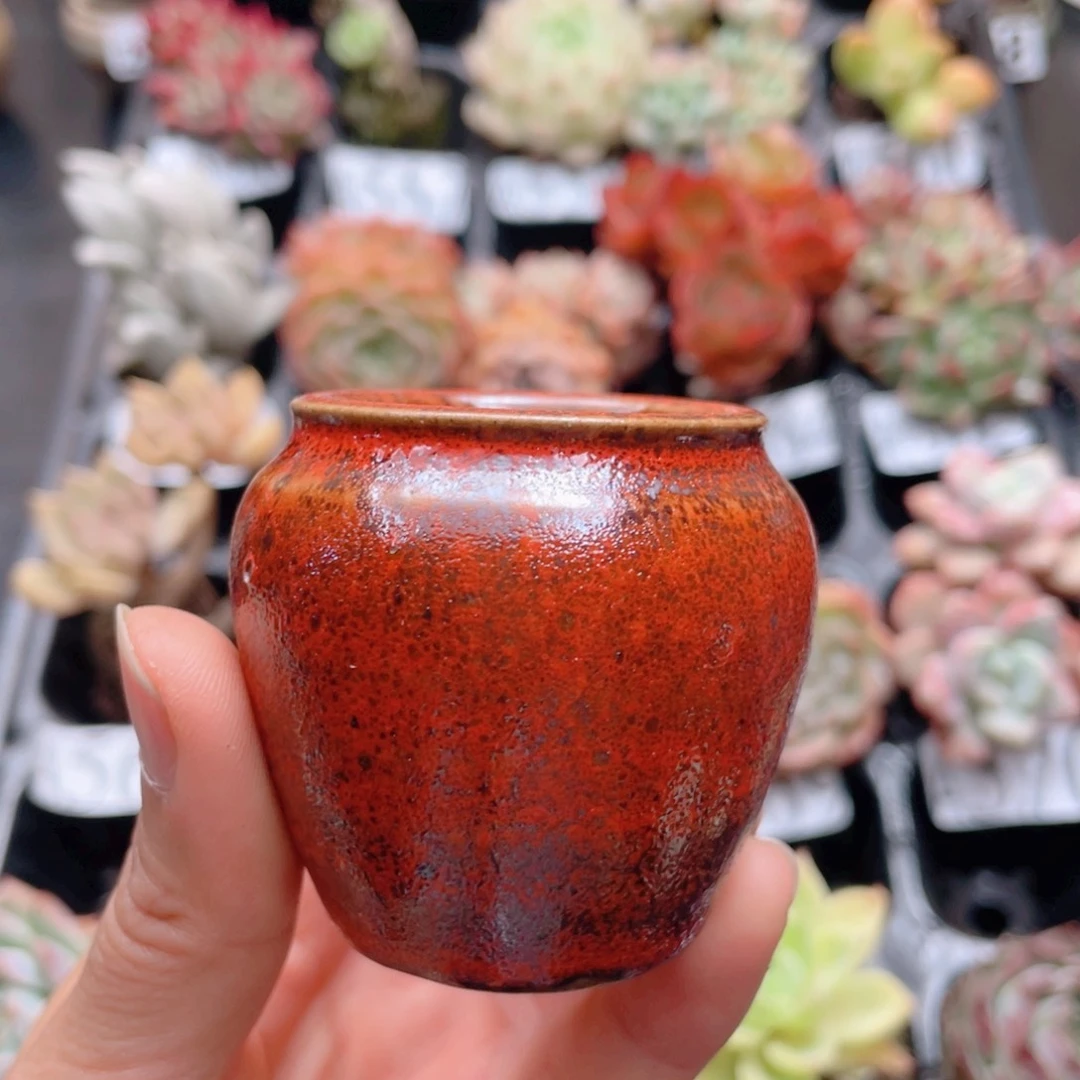 红陶20CM（含）-50CM（不含）七*呀