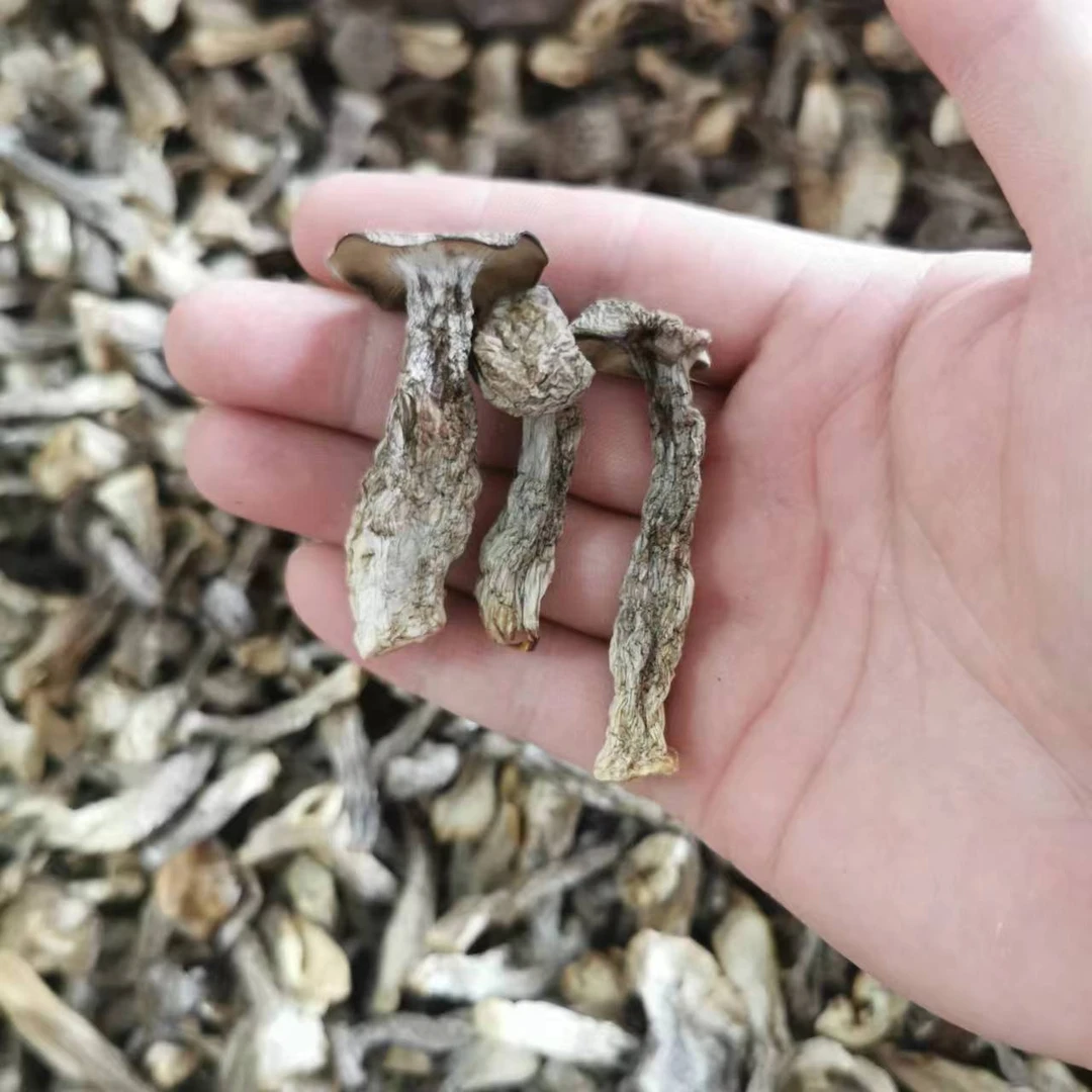 嫩嫩菇  散装农产品