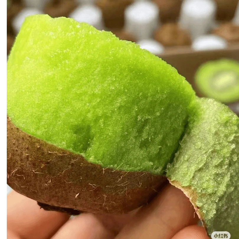 古蔺猕猴桃 新鲜上市