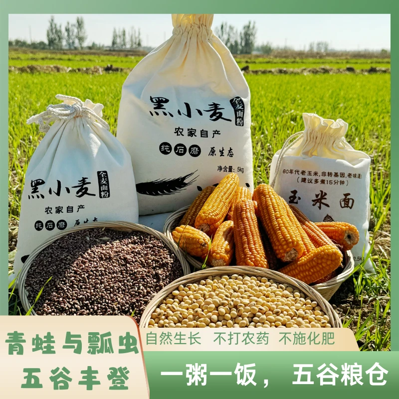 五谷丰登-粮满仓