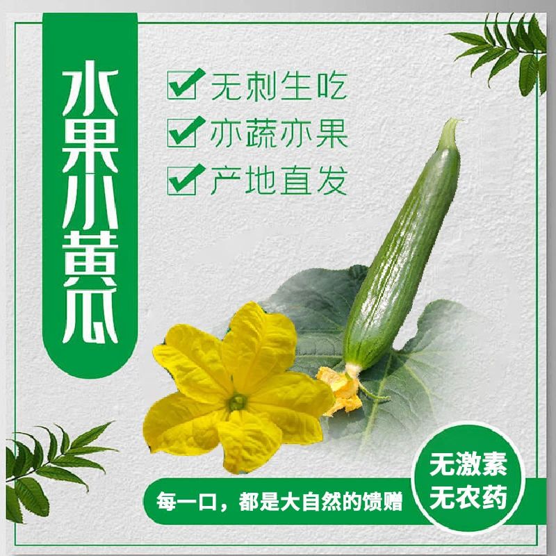 纯净菜：果胶黄瓜
