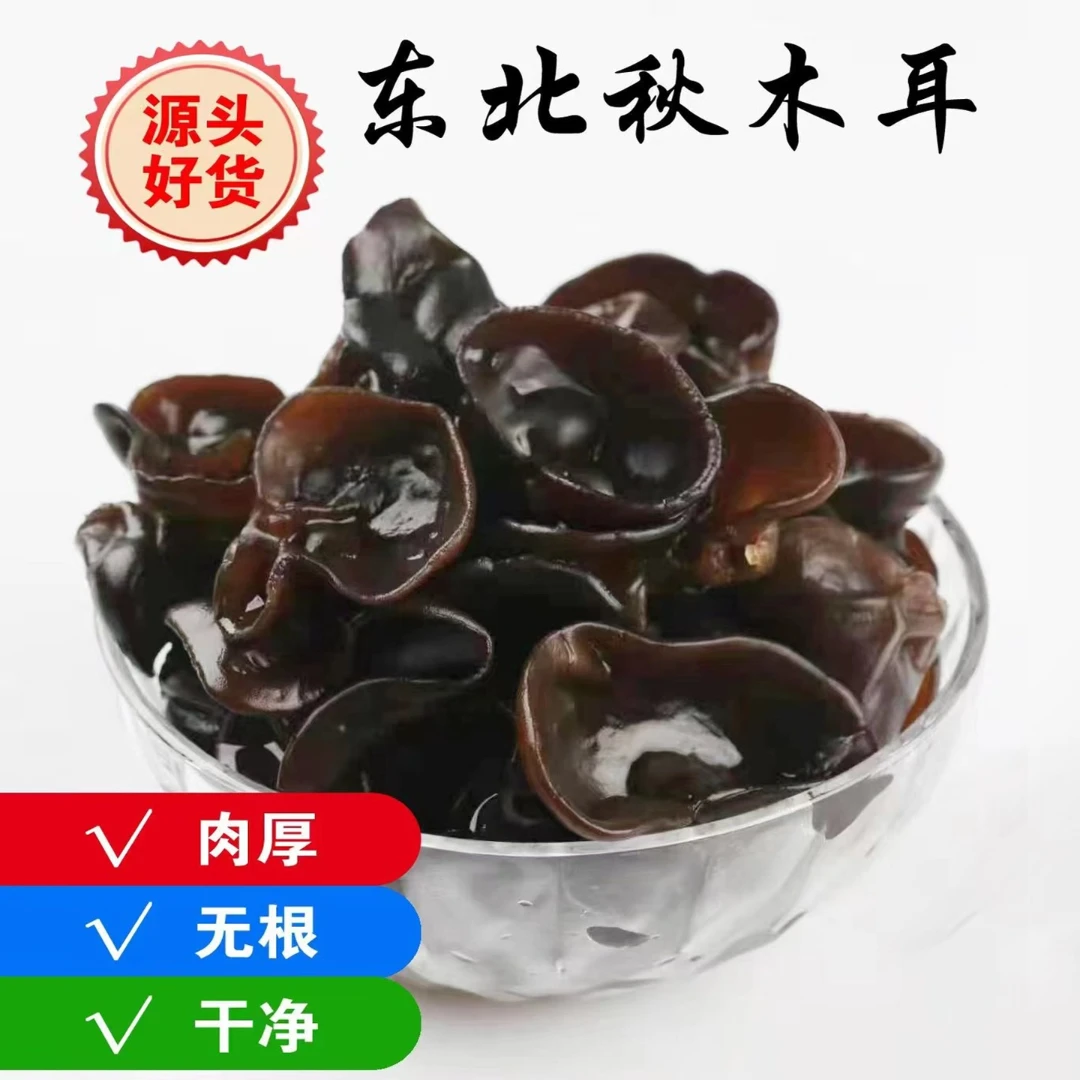 1[特惠专属] 大东北肉厚无根秋木耳一斤产品秋木耳头茬饱满