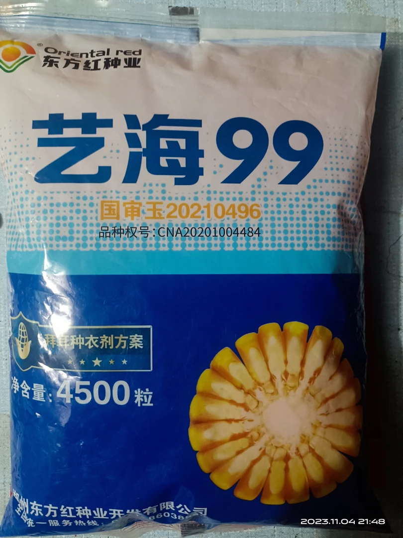 艺海99--抗倒伏 抗高温 耐密植 大粗棒 抗锈病 抗青枯