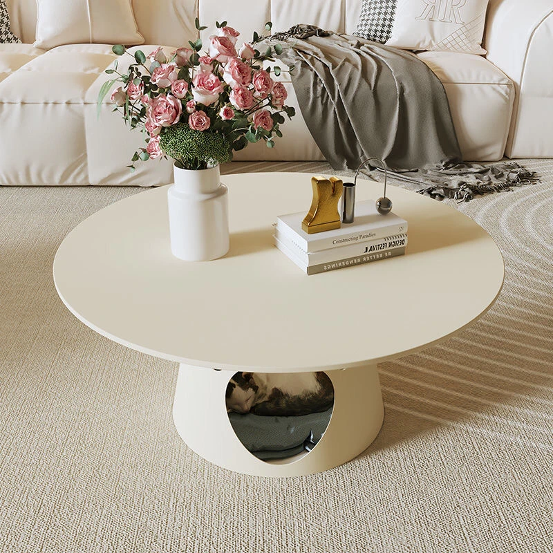 奶油风高级感网红客厅铁艺个性阳台茶几轻奢家用沙发收纳储物简约