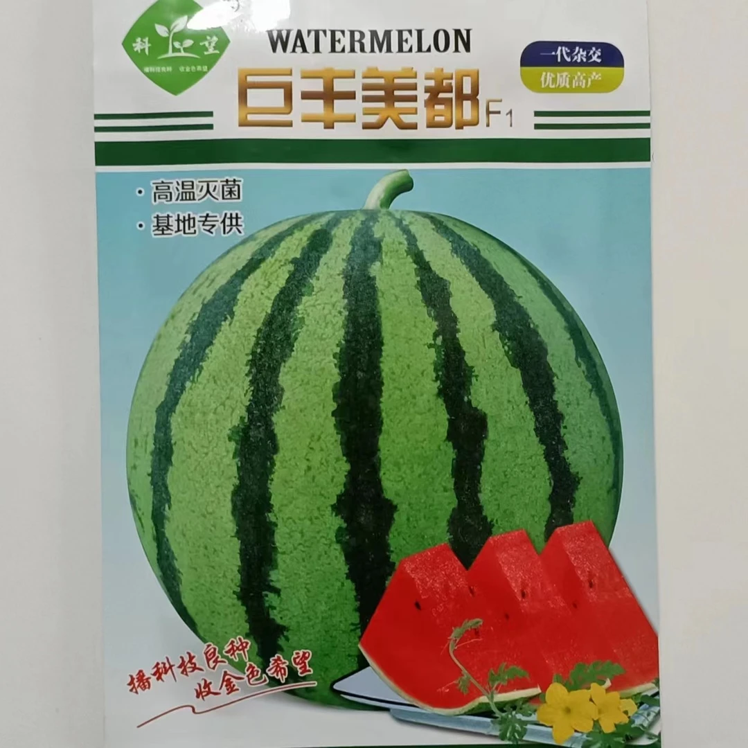 【张鹏推荐 】巨丰系列美都西瓜中早熟大红瓤皮薄耐裂耐低温耐老
