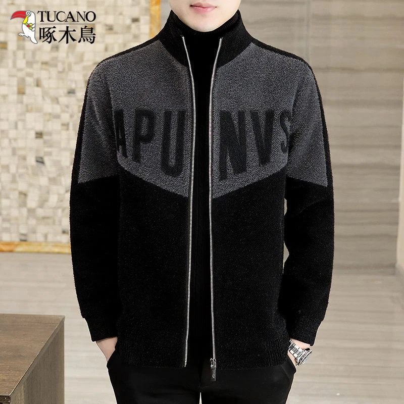 啄木鸟2023秋冬季新款男士外套中青年韩版短款立领毛呢大衣