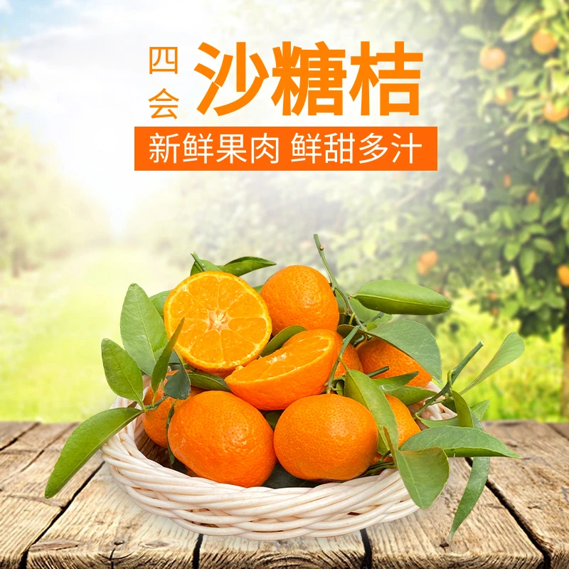 正宗产地广东四会沙糖桔新鲜整箱当季水果砂糖桔无籽纯甜3斤