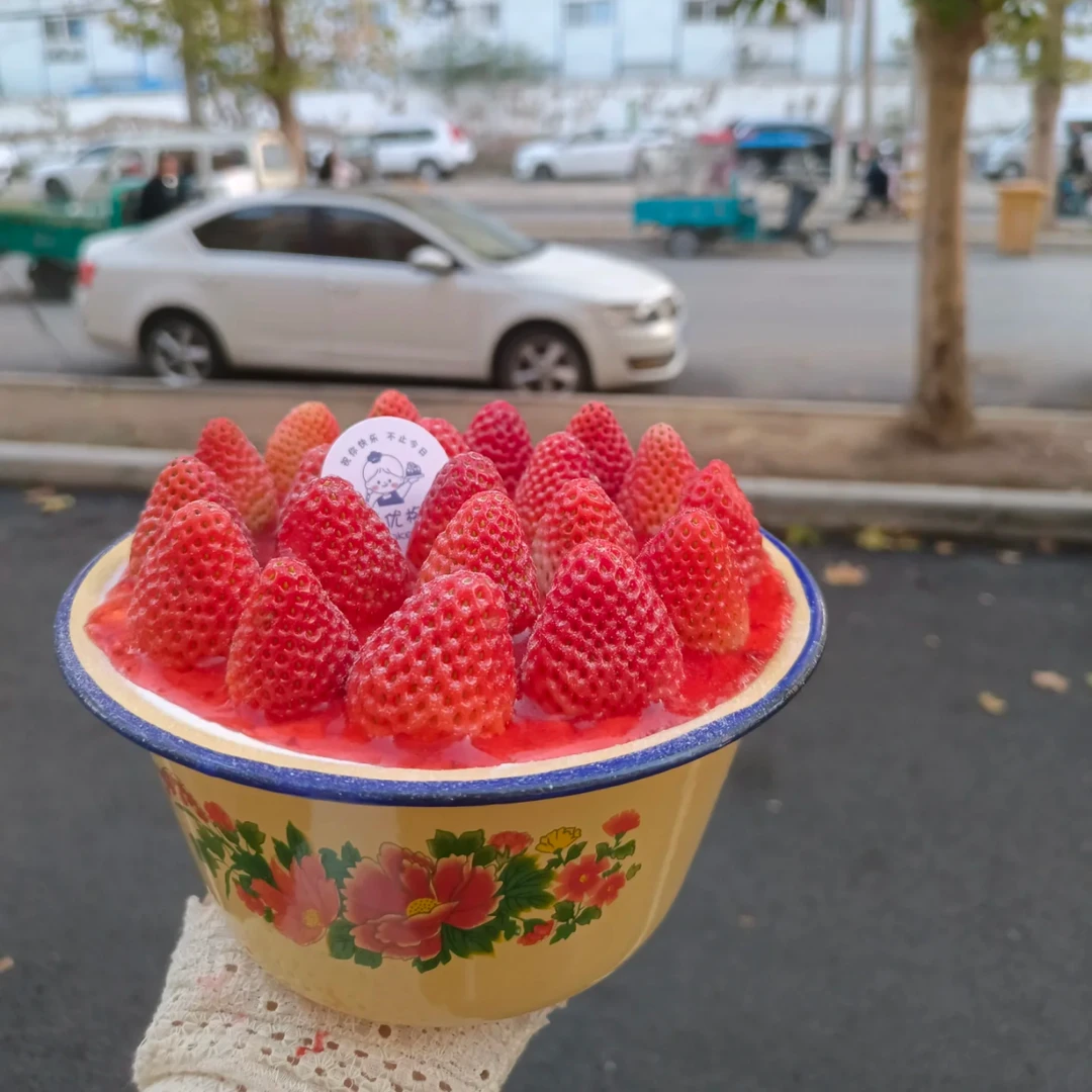 草莓带盖搪瓷碗保鲜碗洗手盆拌馅盆和面老式瓷怀旧盖盆泡面汤锅