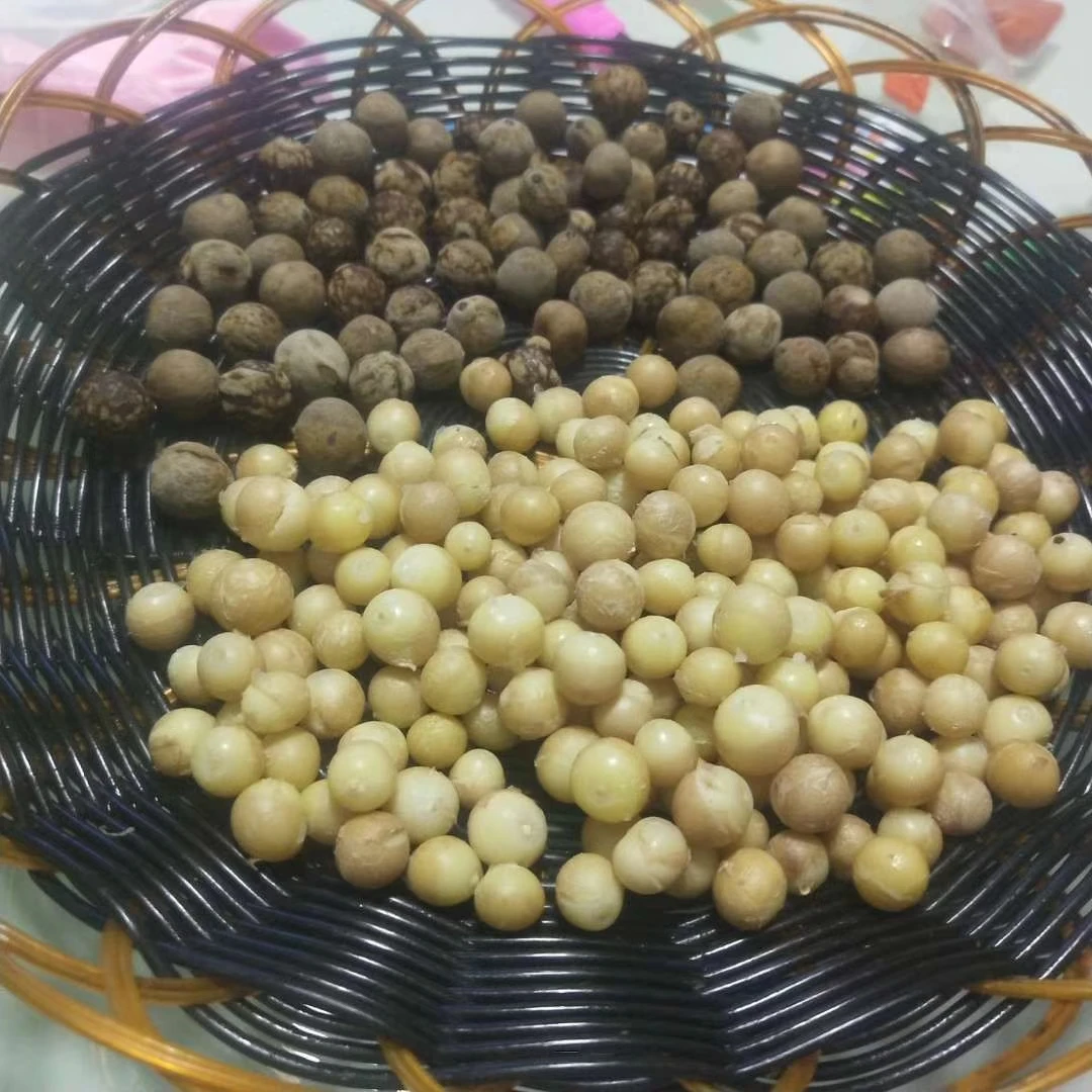 新鲜鸡头果芡实特大果带壳
