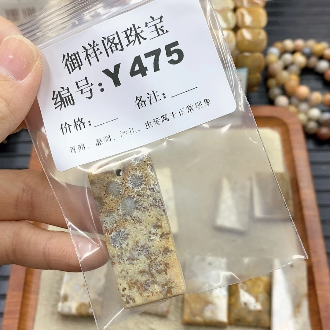 硅化珊瑚(珊瑚玉)Y未镶嵌快****?