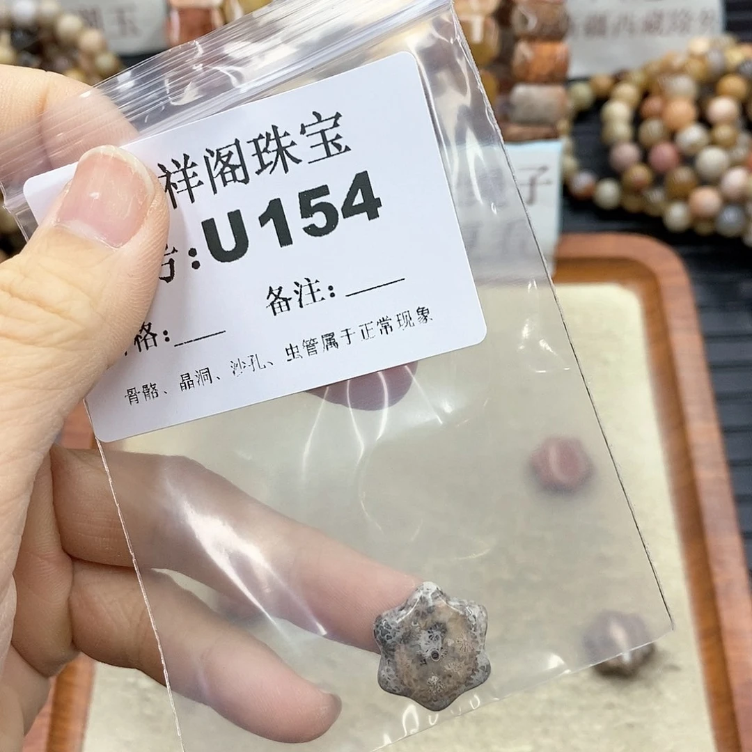 硅化珊瑚(珊瑚玉)I 未镶嵌君