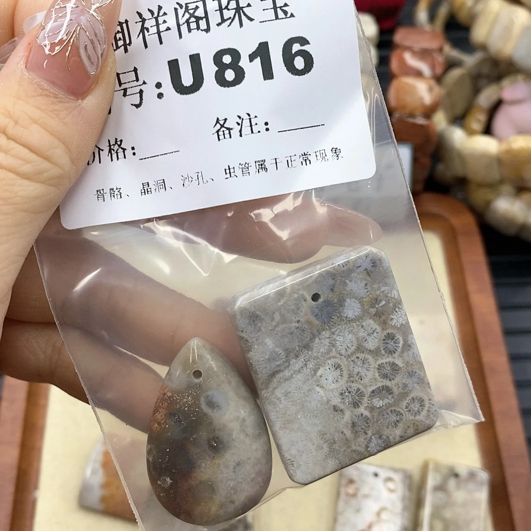 硅化珊瑚(珊瑚玉)U未镶嵌马*丽