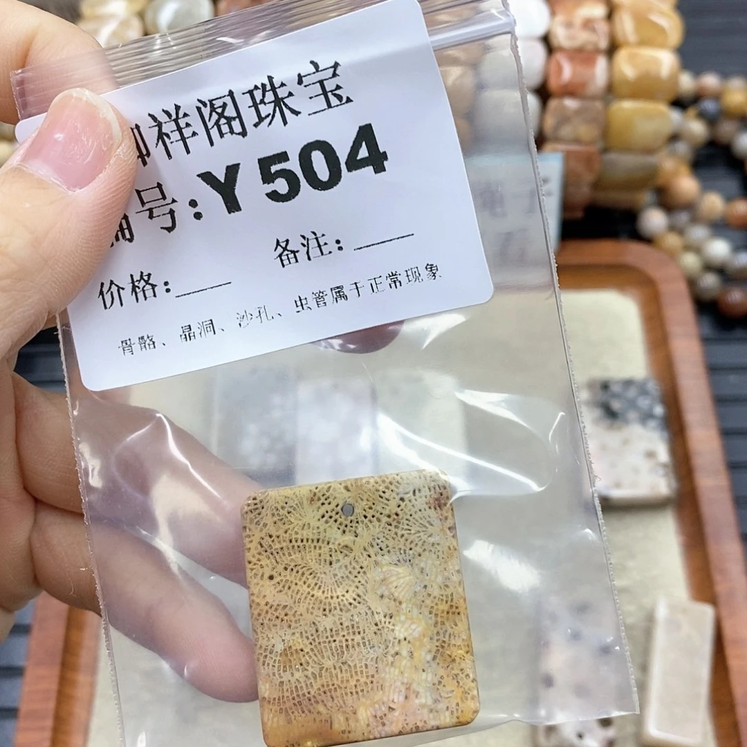 硅化珊瑚(珊瑚玉)Y未镶嵌?****ޓ