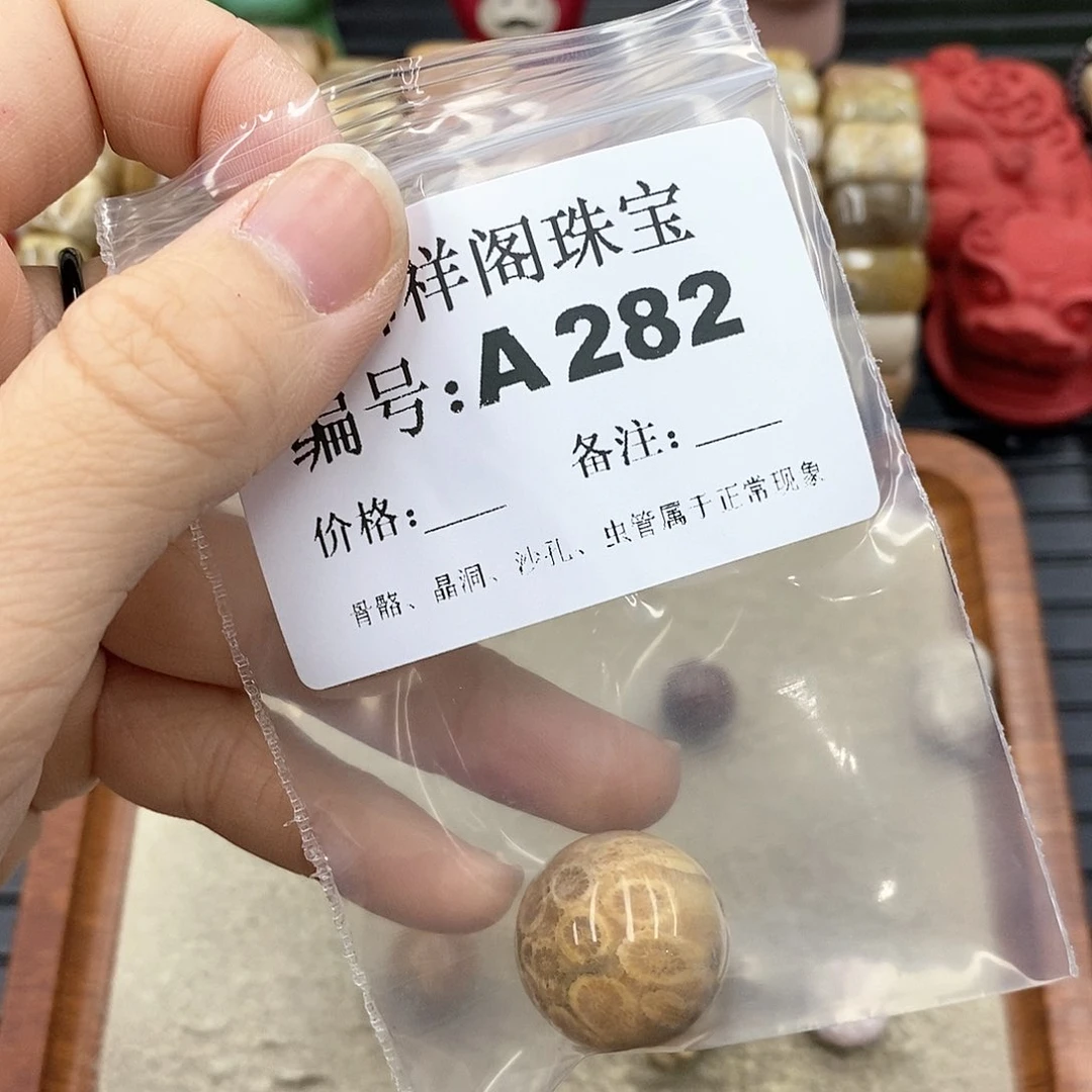 硅化珊瑚(珊瑚玉)I 未镶嵌花*?