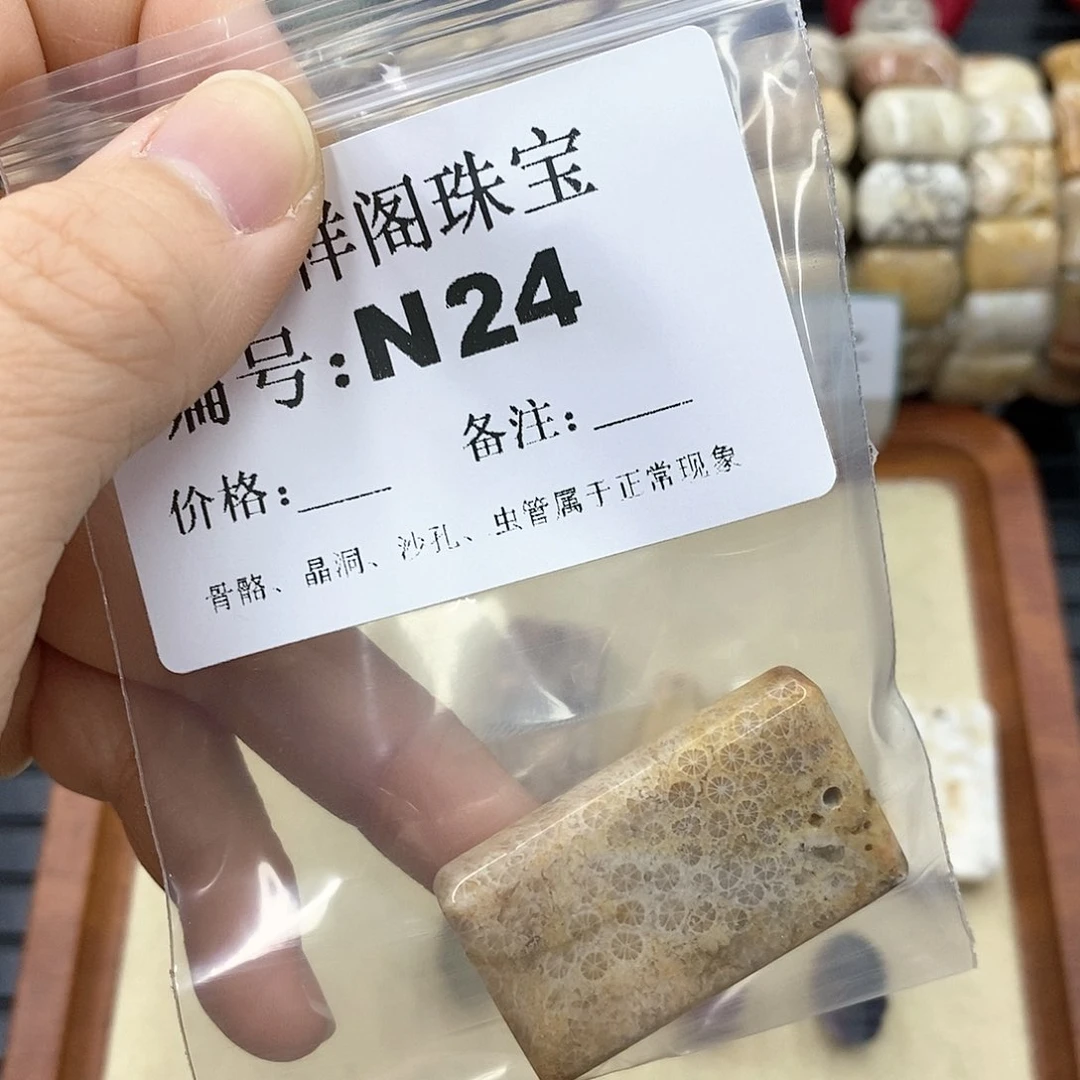 硅化珊瑚（珊瑚玉）K未镶嵌胖****嘟