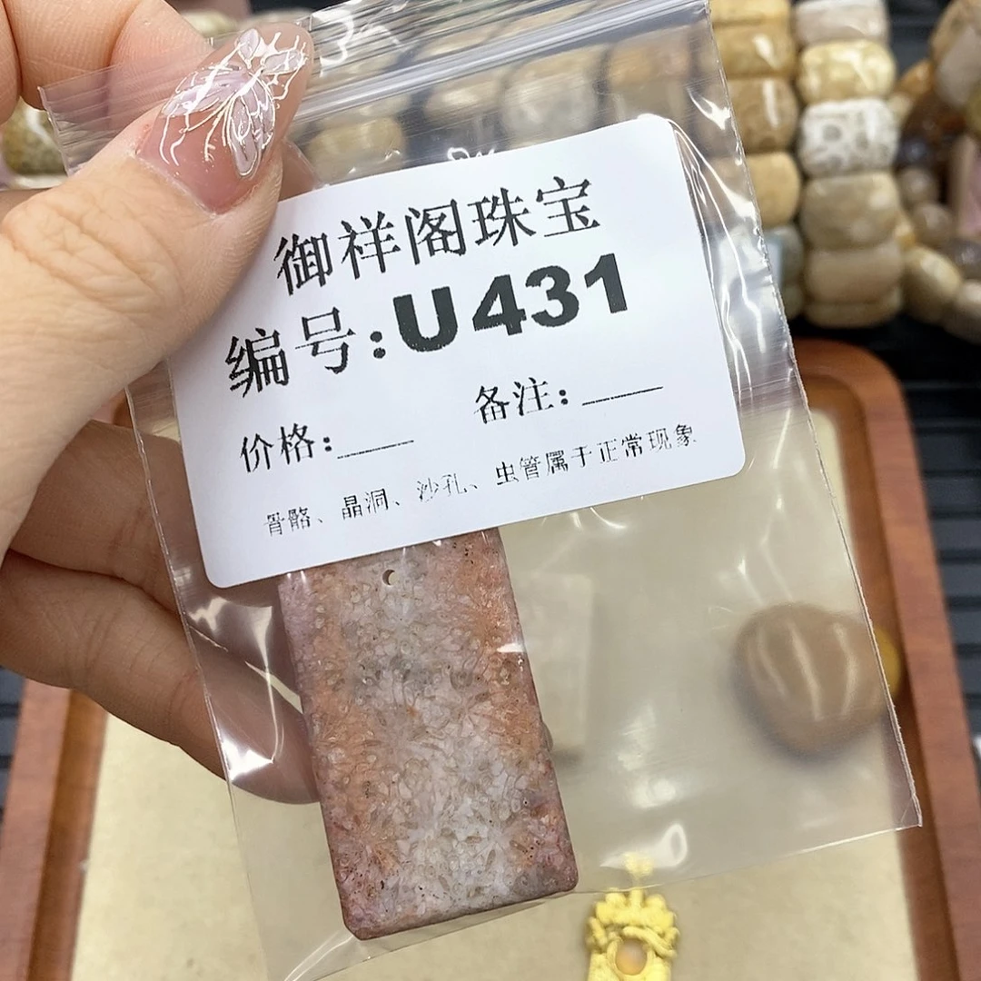 硅化珊瑚(珊瑚玉)I 未镶嵌马*丽