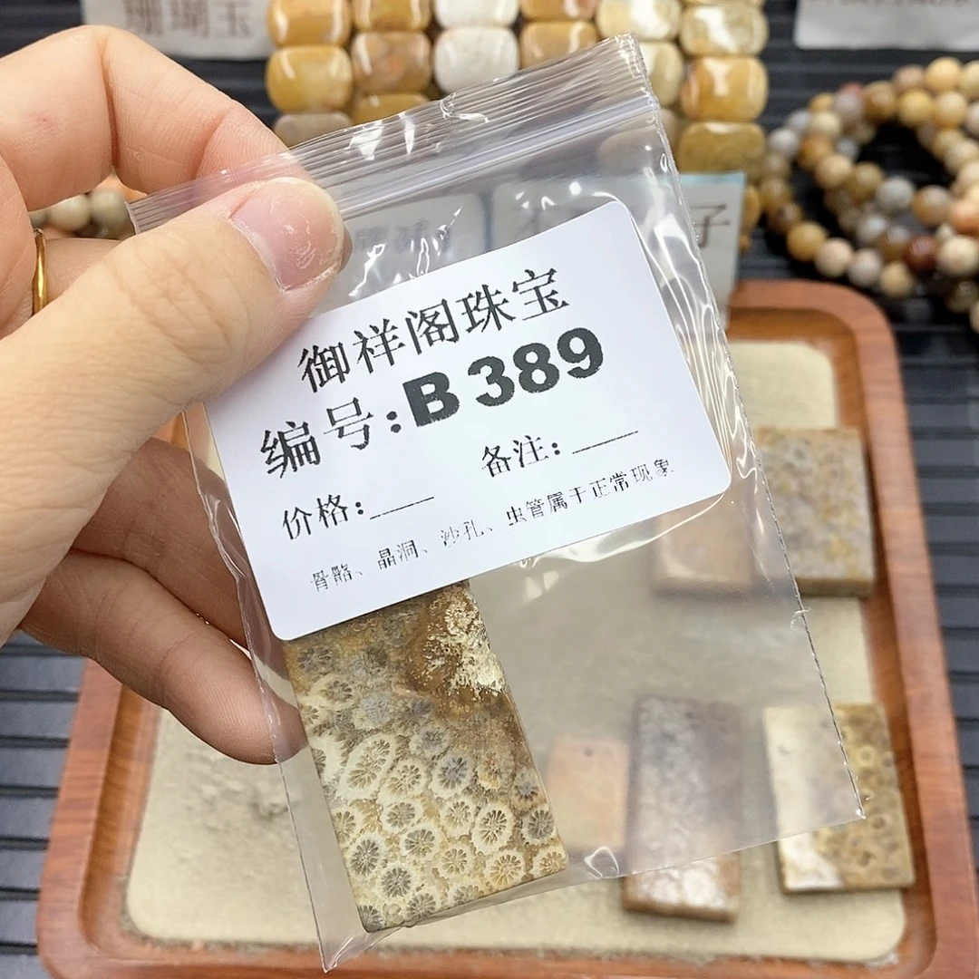 硅化珊瑚(珊瑚玉)B未镶嵌雾