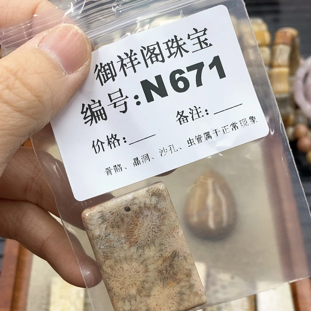硅化珊瑚(珊瑚玉)N未镶嵌与**1