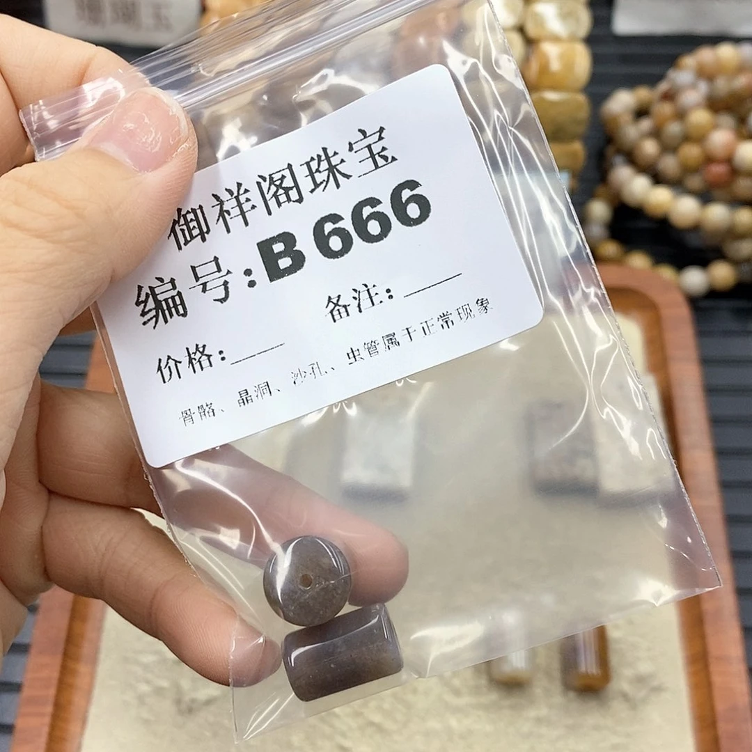 硅化珊瑚(珊瑚玉)B未镶嵌一**天
