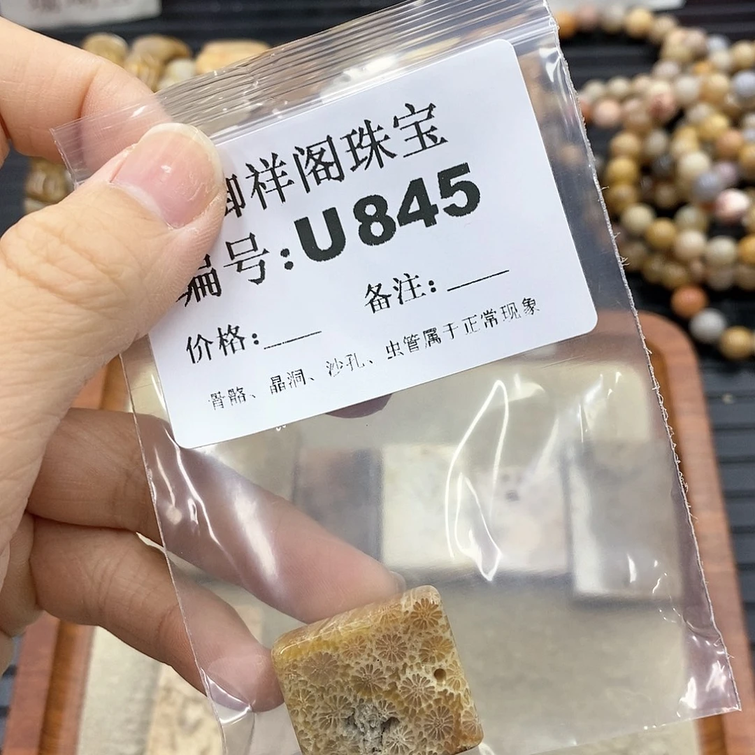 硅化珊瑚(珊瑚玉)U未镶嵌有***。