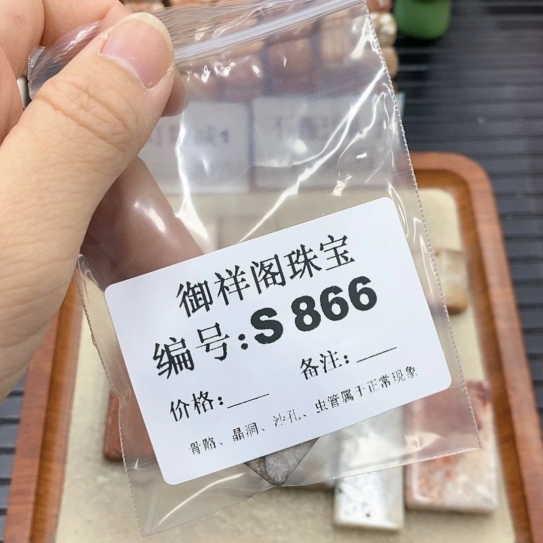 硅化珊瑚(珊瑚玉)S未镶嵌小*A