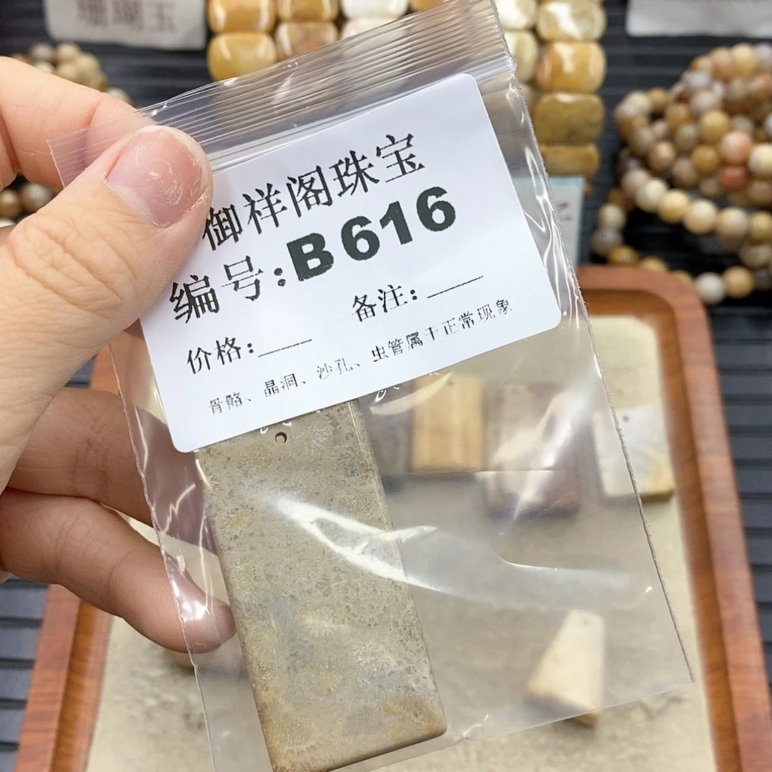 硅化珊瑚(珊瑚玉)B未镶嵌M****_