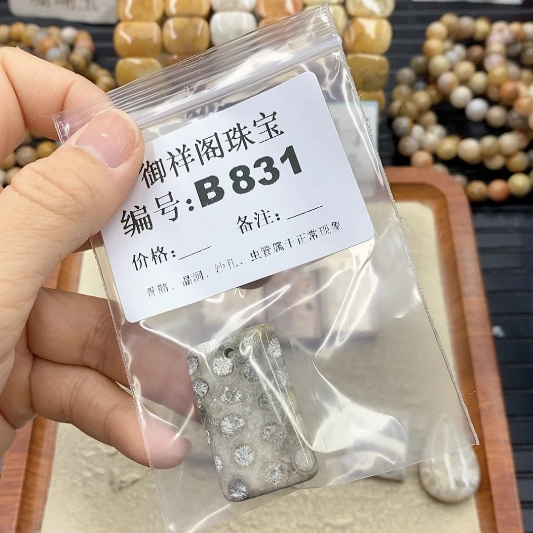 硅化珊瑚（珊瑚玉）B未镶嵌神*扯