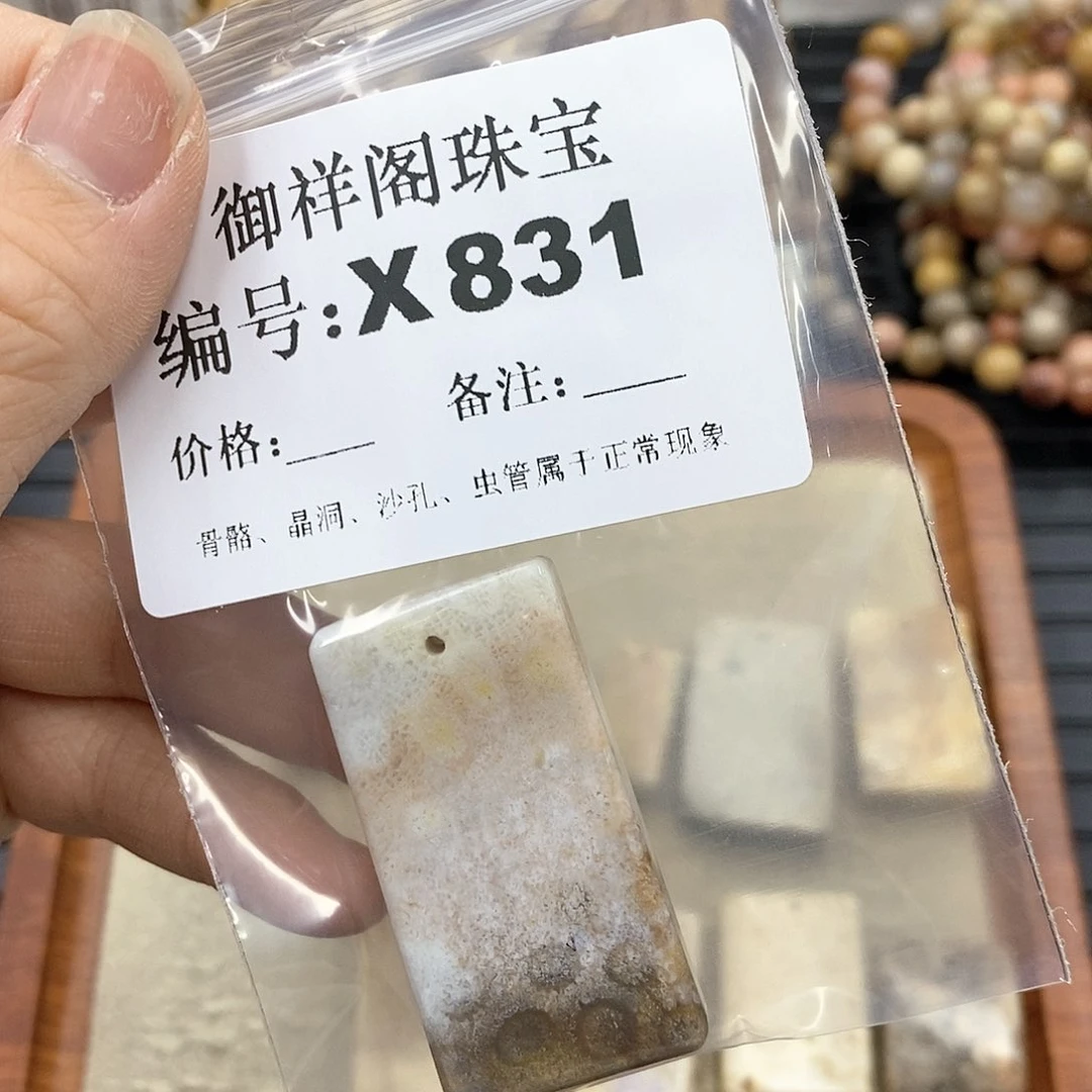 硅化珊瑚(珊瑚玉)X未镶嵌M****e