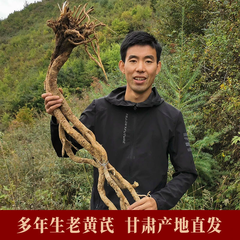 甘肃岷县多年生黄芪片无硫北芪条切片农产品