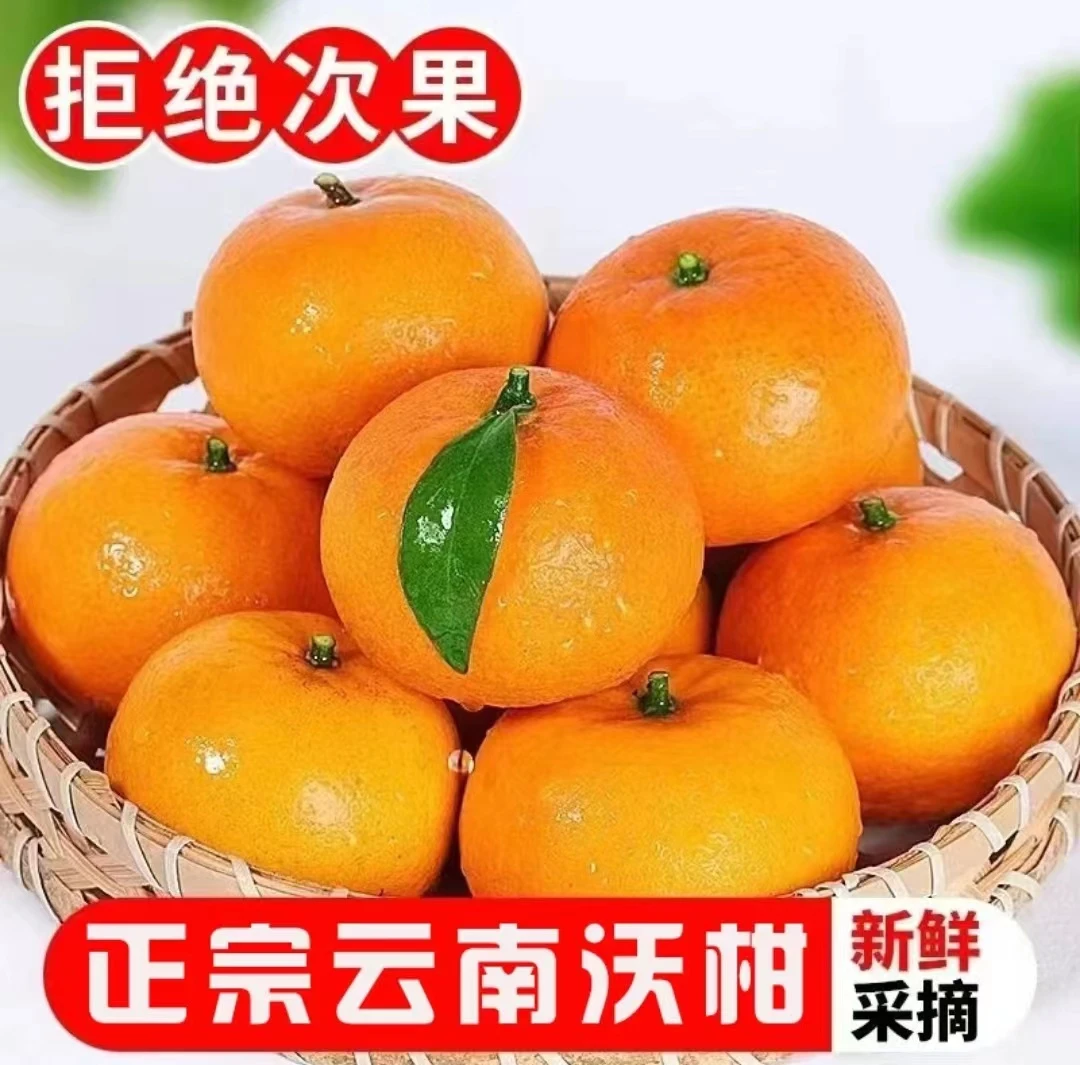 云南沃柑爆汁柑橘多汁皮薄采摘酸甜品种甜蜜新鲜优质基地品质橘子