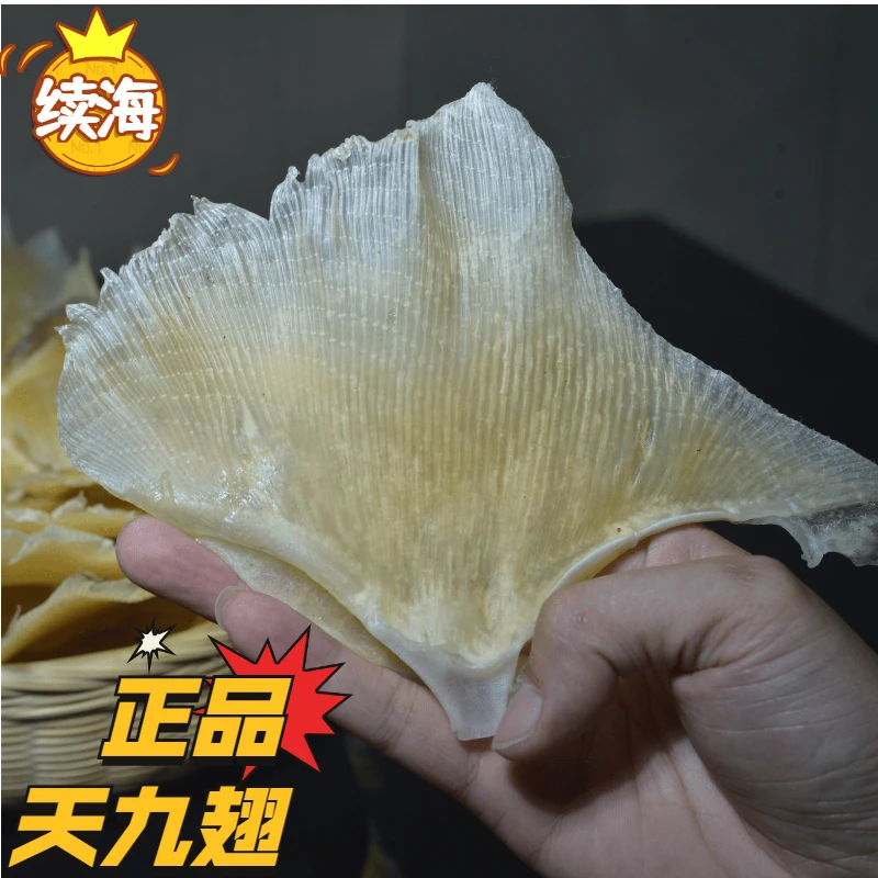 北海特产海狗翅浦鱼鱼翅鱼尾裙翅骨软骨鱼翅日式料理海鲜煲汤食材
