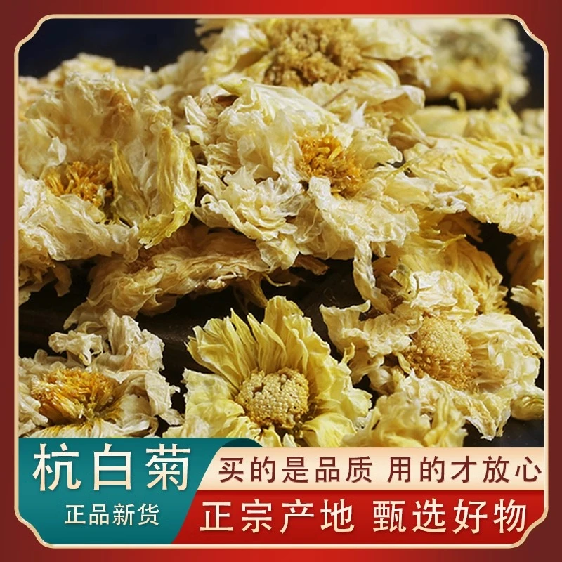 杭白菊桐乡杭白菊新货白菊花正宗菊花胎菊杭胎菊