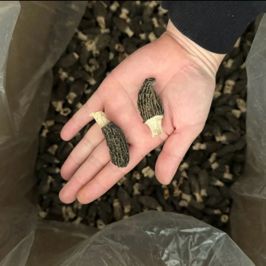 羊肚菌,自然风干,干货,一袋包邮,10克装
