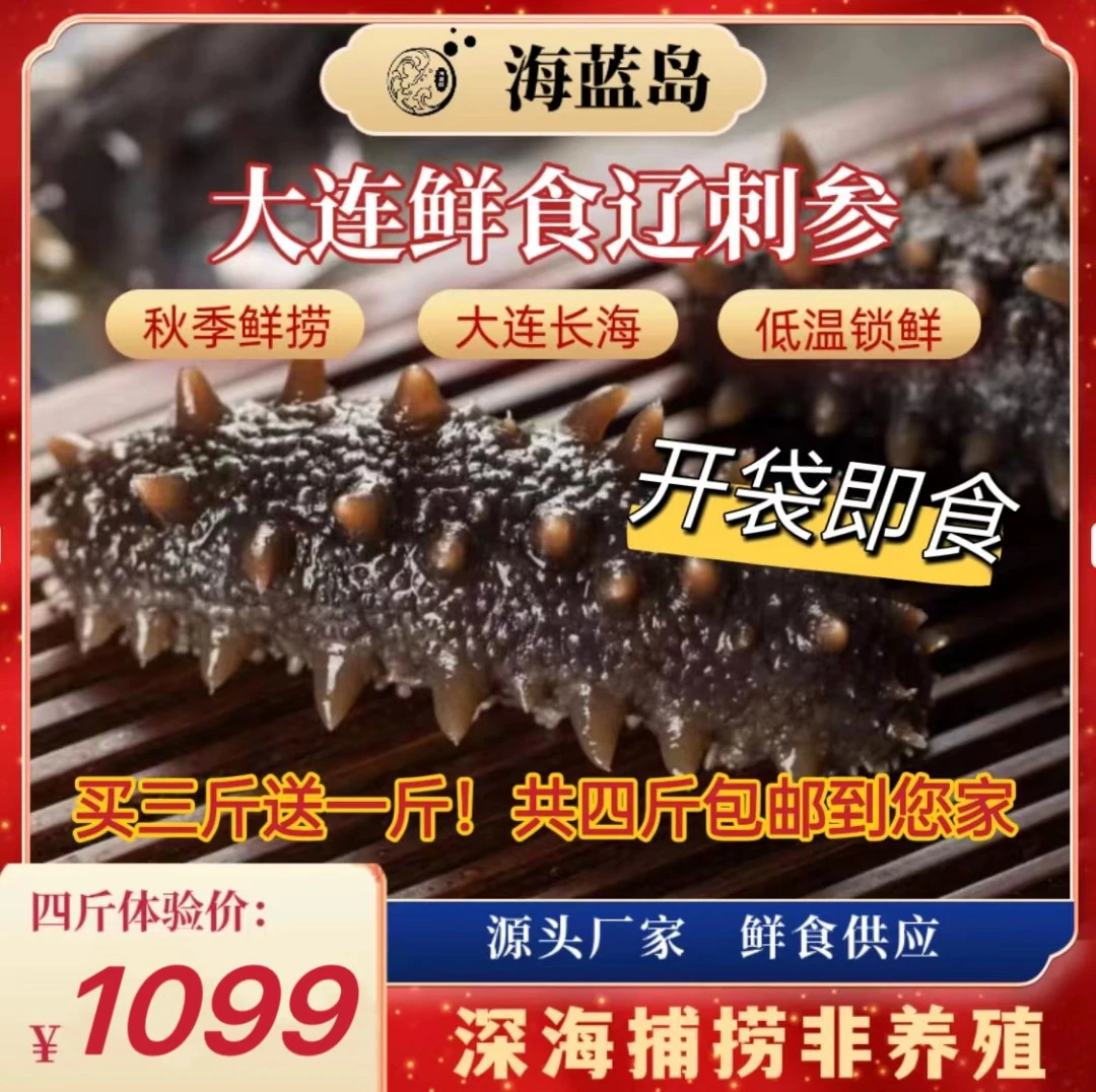 【双11推荐】到手4斤鲜食海参 八年辽刺参小参王 5-8头 开袋即食