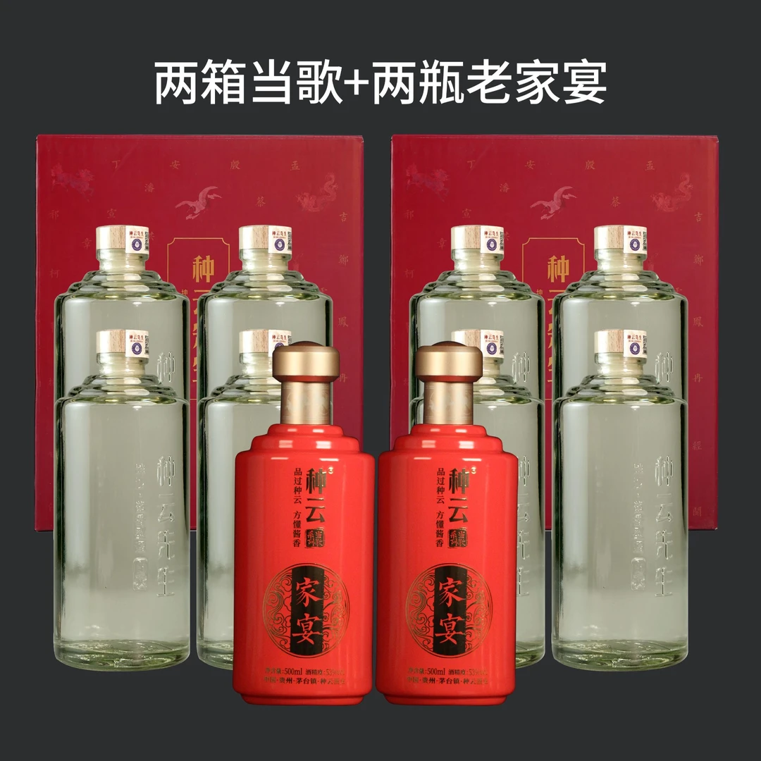 种云先生【热销】当歌2箱装酱香型酒 大曲坤沙53度500ml*4瓶*2
