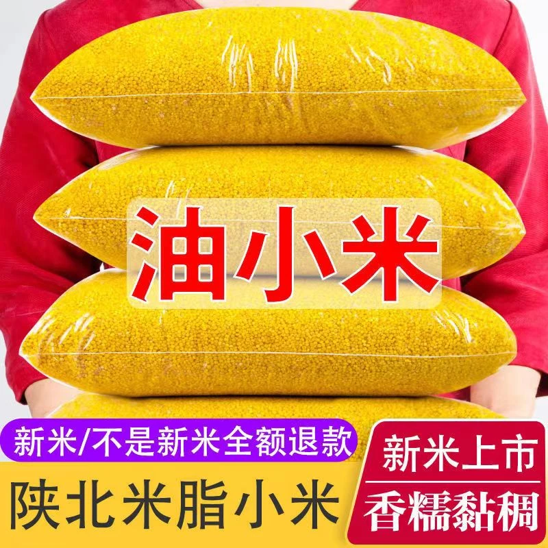 【拍3斤送2斤】到手5斤·陕北米脂油小米当季新米