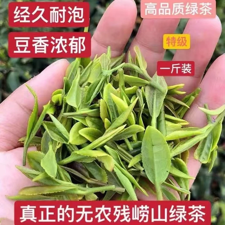 正宗崂山绿茶2025初春新茶特级手工制茶豆香青岛印象礼盒散装500g