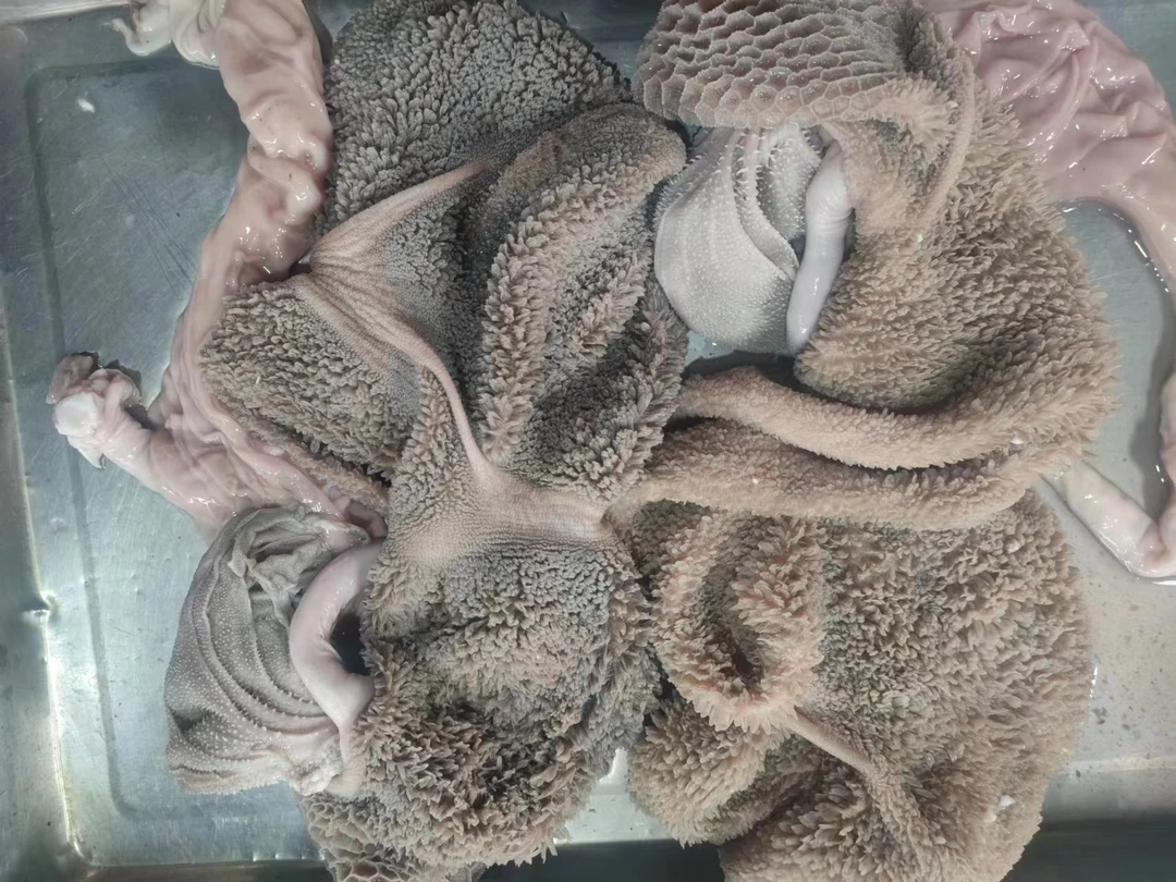 5斤日照本地散养山羊肚（毛肚）