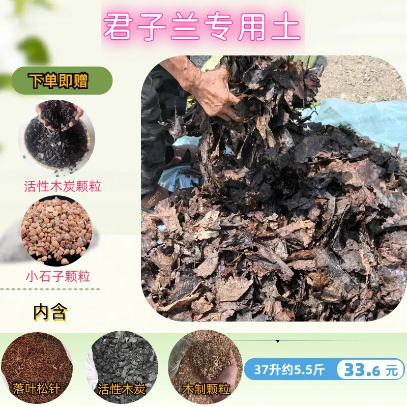 精品四合一君子兰土(直接使用)