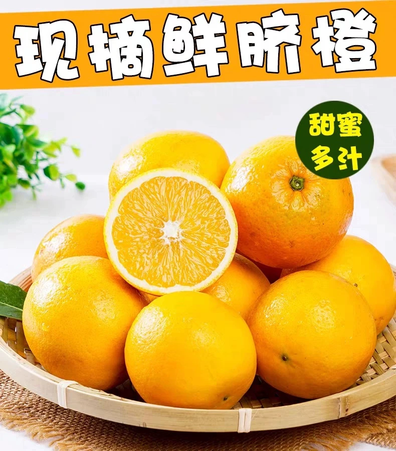 湖南怀化自家果园纽荷尔脐橙甜橙当季新鲜水果爆甜多汁5/9斤