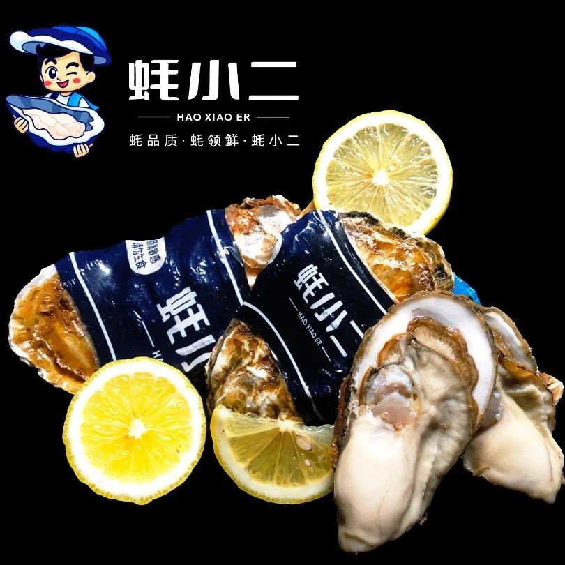 【蚝小二】 乳山生蚝 净重5斤/箱(三个规格可选 含工具芥末包)