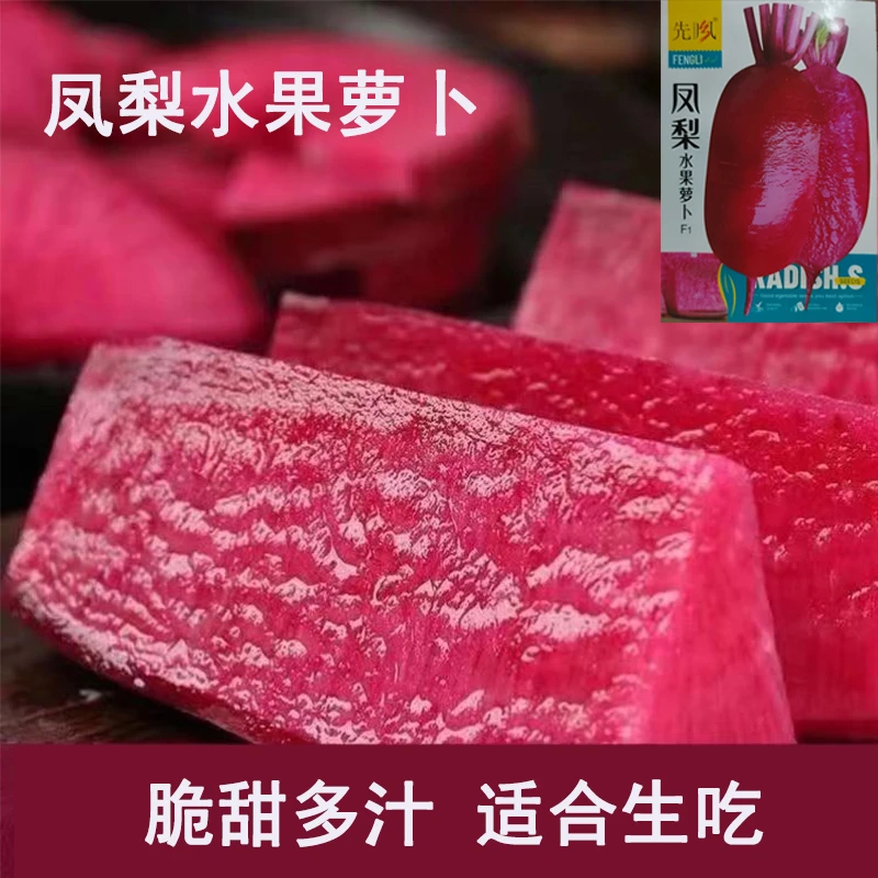 生菜杨姐推荐脆甜可口凤梨水果萝卜种子