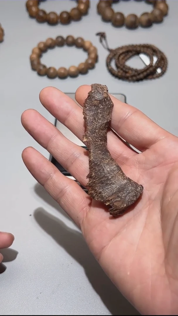 【闪购商品】沉香海南鸡母虫4.9g