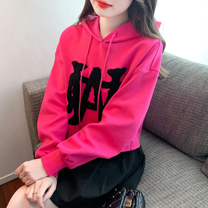 时尚百搭设计感减龄显瘦刺绣连帽卫衣2025春秋季新款女士气质上衣