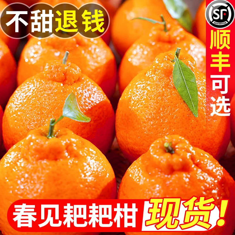 四川春见耙耙柑橘子榨汁香甜爆汁皮薄新鲜水果丑八怪当季整箱桔子
