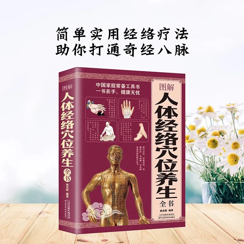图解人体经络穴位养生全书 图解人体经络穴位图刮痧拔罐疗法著作